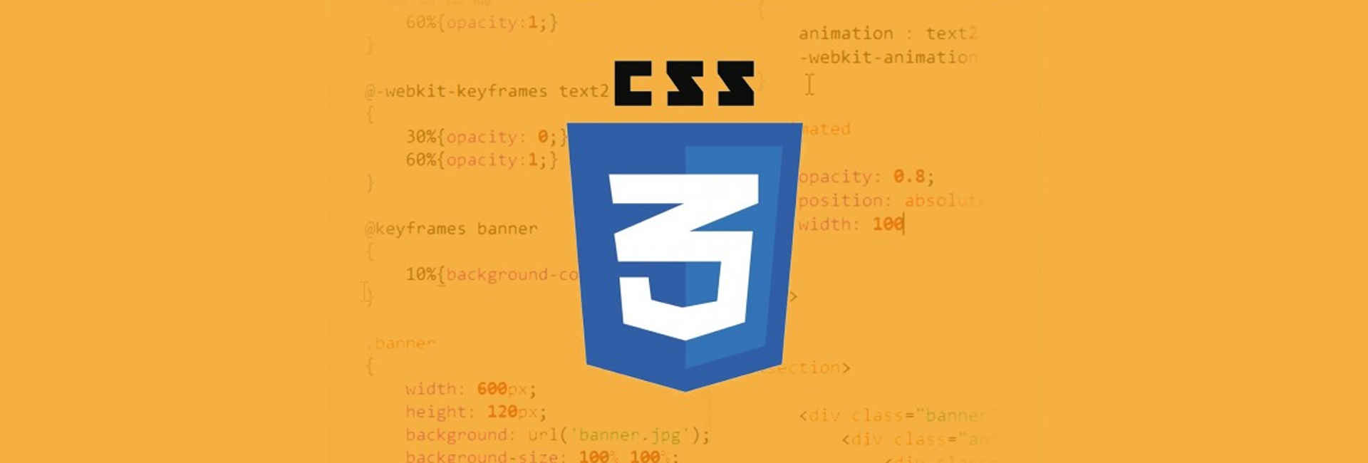 CSS Nedir?